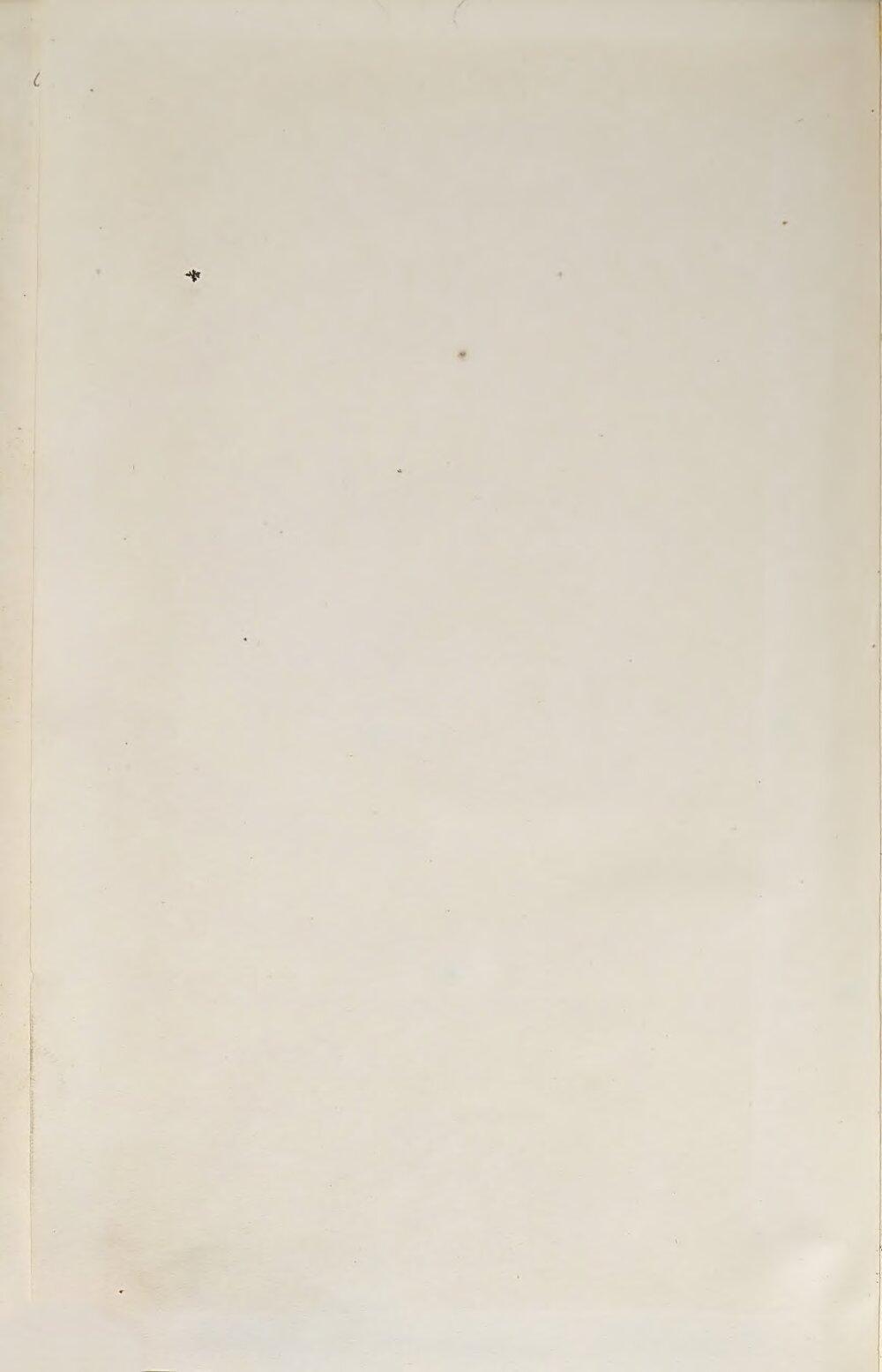 Image 00004