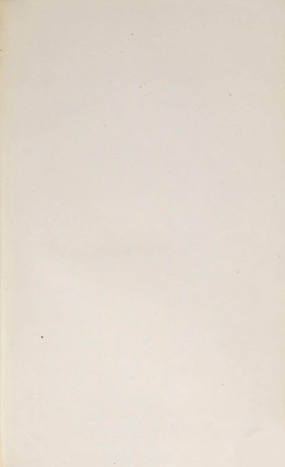 Image 00341