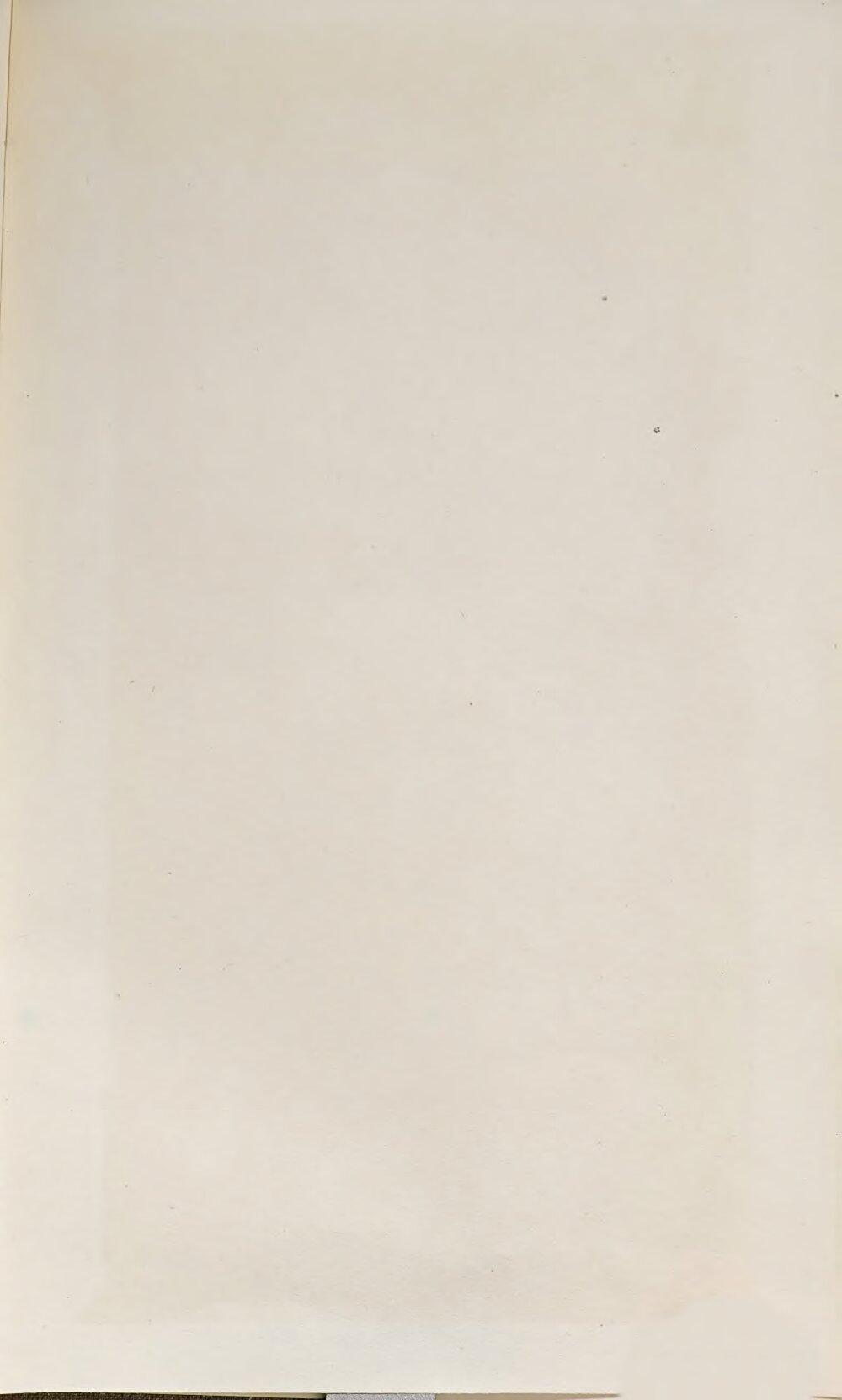 Image 00343