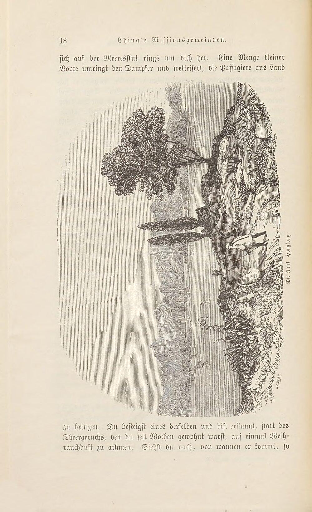 Image 00020