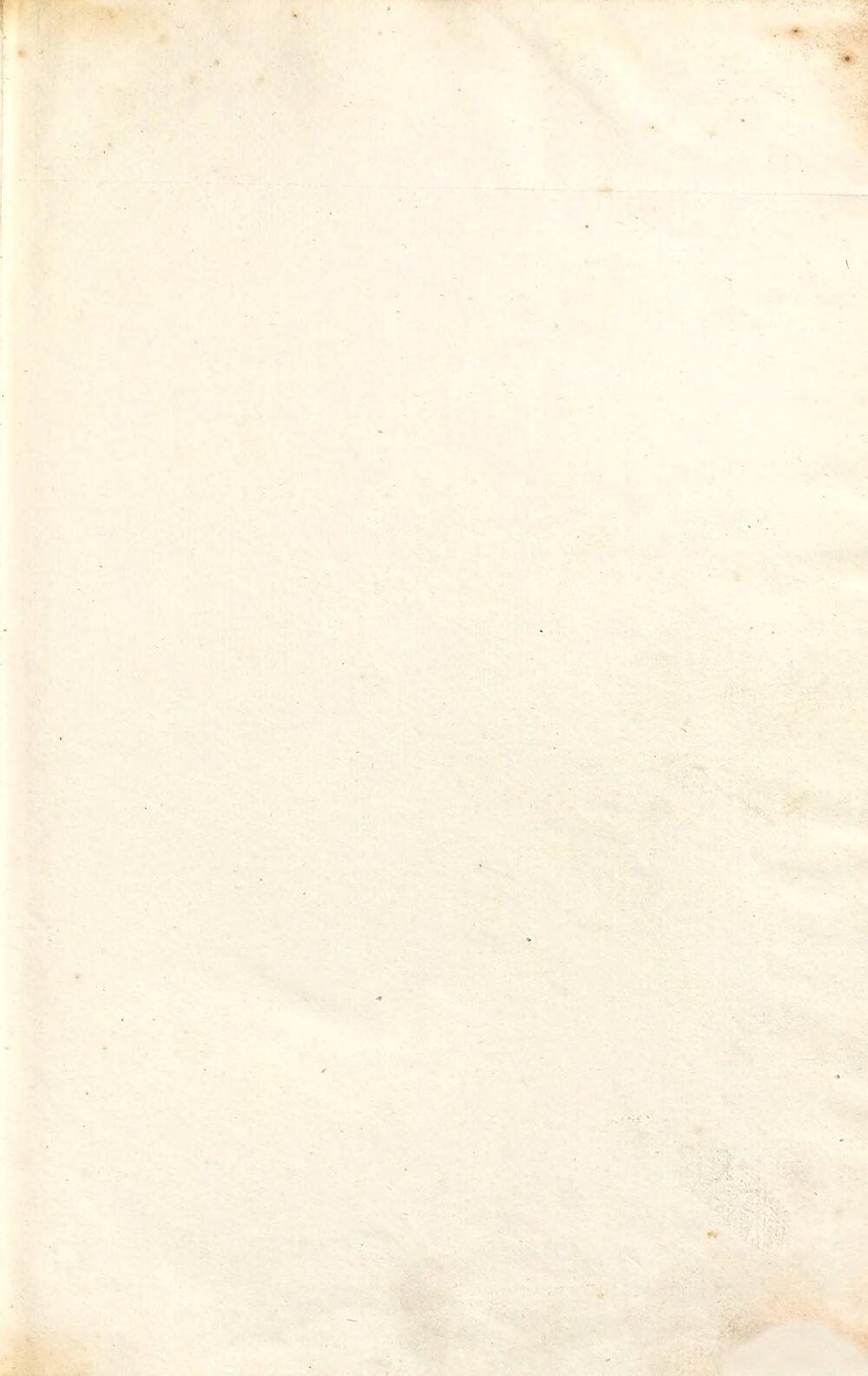 Image 00003