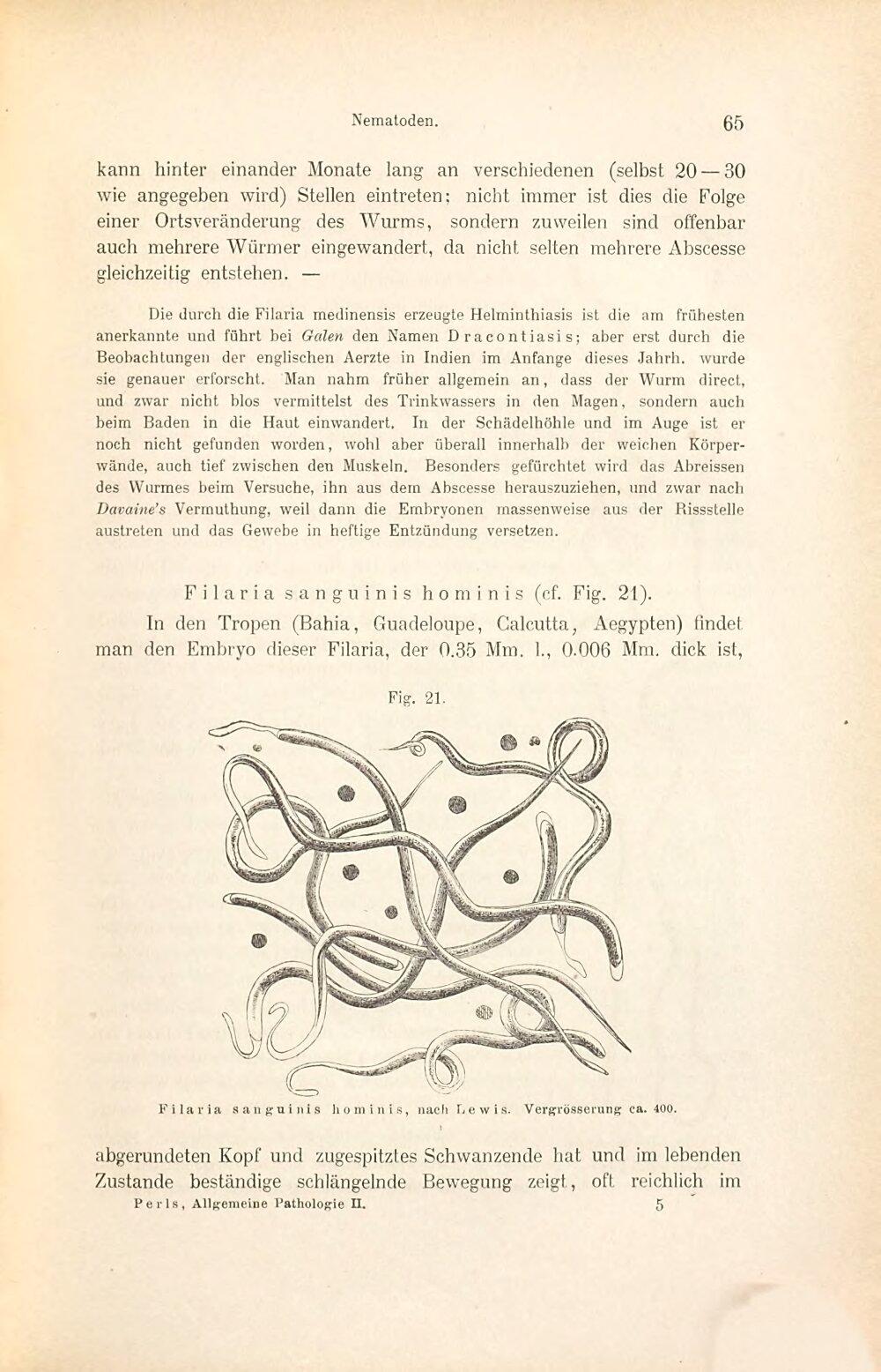 Image 00081