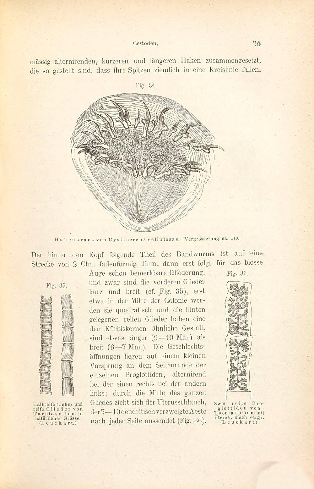 Image 00091