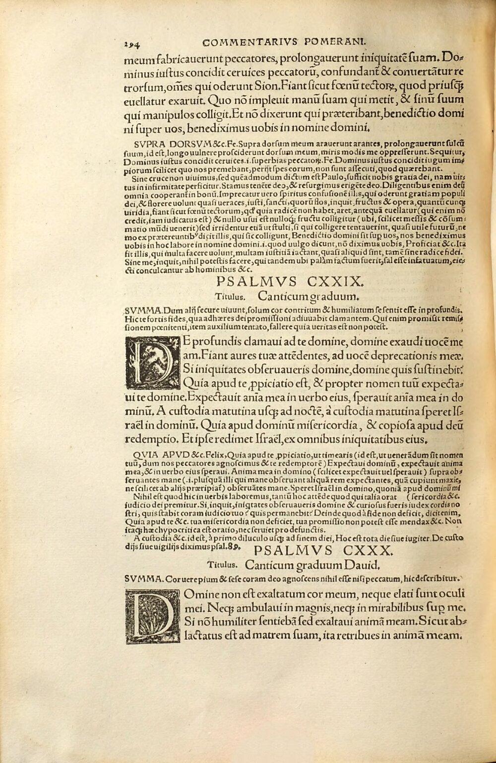 Image 00302
