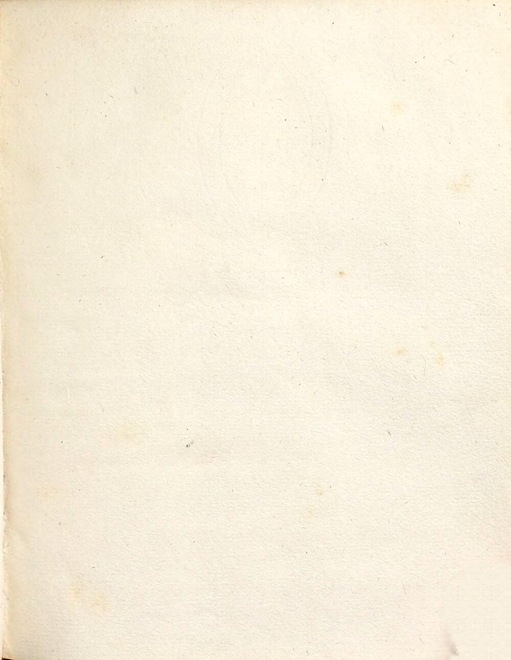Image 00005